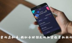 三箭资本投资的虚拟币：